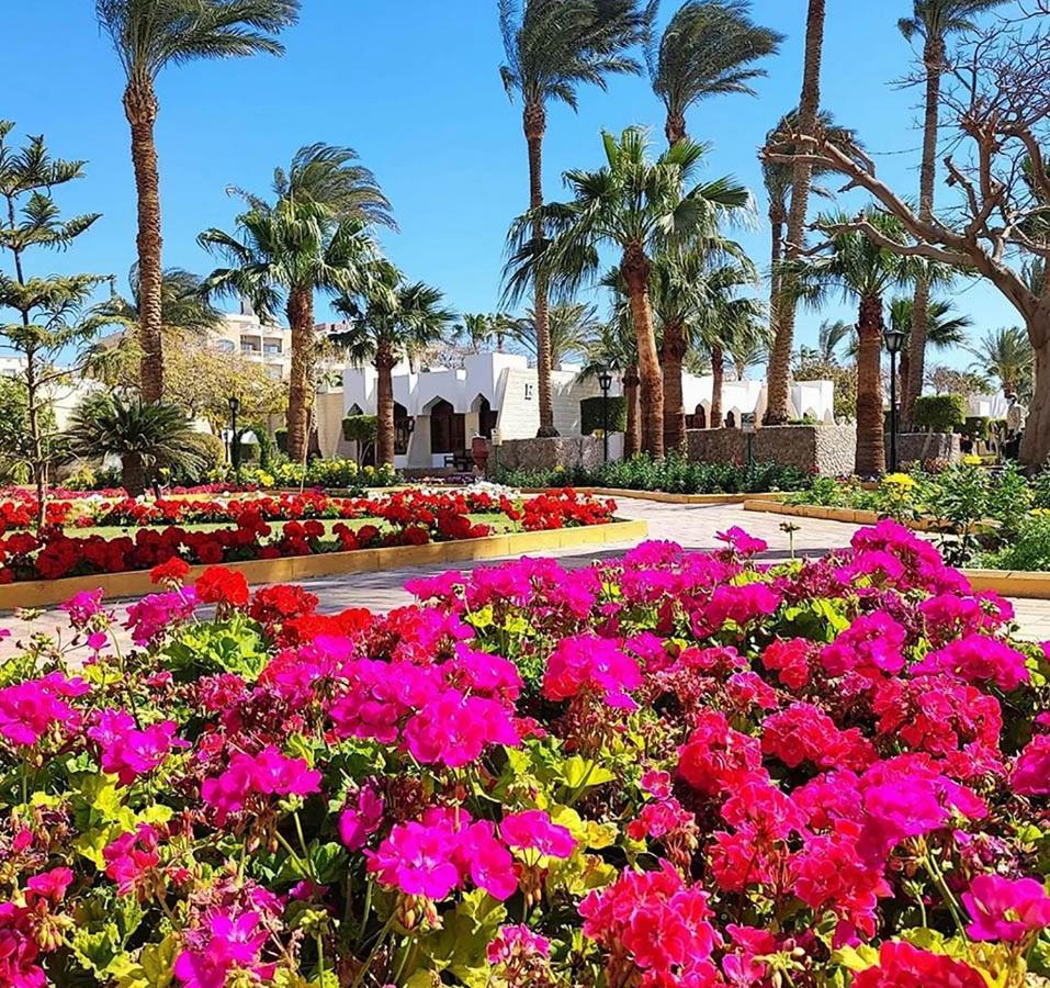 Zya Regina Resort And Aqua Park Hurghada Exterior foto